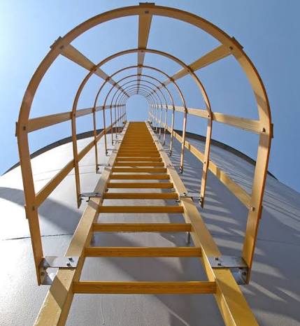 Cage Ladders